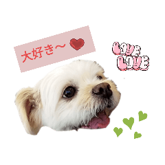 ブチャかわワンコ、ぶちゃ❤️のスタンプ