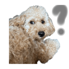 よくばりぼでぃ