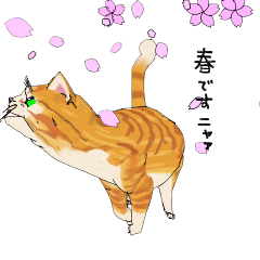 動く3D！茶とら猫のトラコ