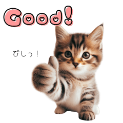 Cute kitten Sticker!