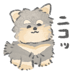 ヨーキーがいるから頑張れる