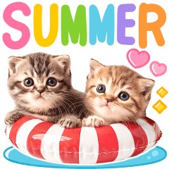 飛び出す♡夏にゃんこ