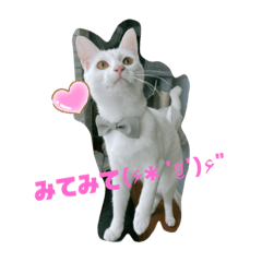 むぅむ＆ボンボン