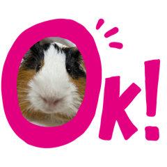 ルイちゃん 日常