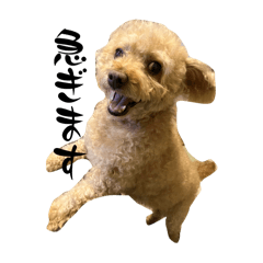 くるみんイヌIIII