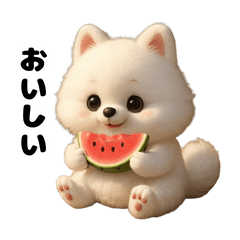 ポメのデイリーライフ