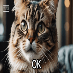 ゆるネコのひとことスタンプ