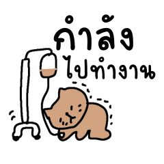 Playful cat stickers TH