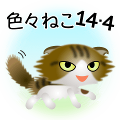 色々な猫14-4 長毛-垂れ耳-キジトラ白