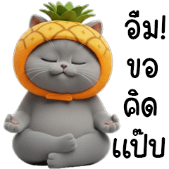 KARAT CAT WITH FANCY HAT PINE APPLE