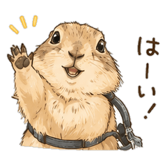 ぷれーりーどっぐのどんぐりちゃん