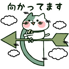 十二星座猫シリーズ～射手座～