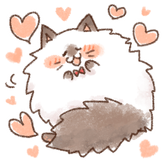 もこねこ ふくちゃん