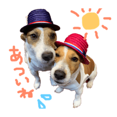 てりならむっく