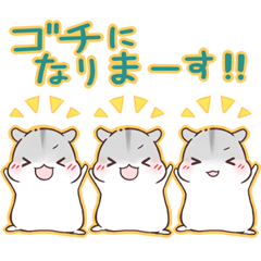 飲み合わせハムハム