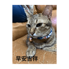 YuJun_20190809173211