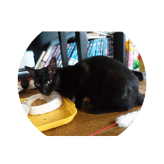 動物の顔、生態特集