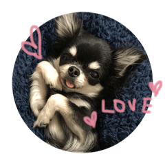 ちょーすけちよまろ2