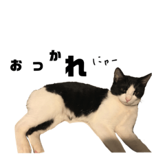 アリスとおはぎ(2)