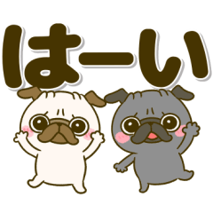 デカ文字♡黒パグちゃん