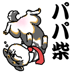柴犬スタンプ20～パパ柴～