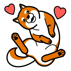 表情豊かな柴ワンコ