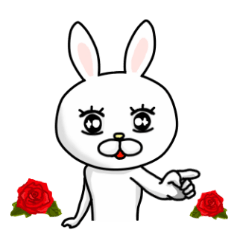 ふつくしいナルシー