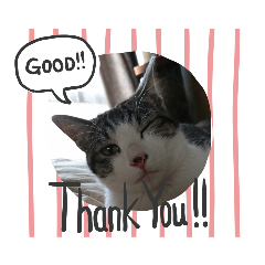 はな丸にゃんこ