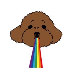 うちで飼ってるトイプードル(茶)