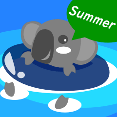 Koala Senior in Summer by English 
