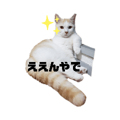 どんちゃんがどーんスタンプ