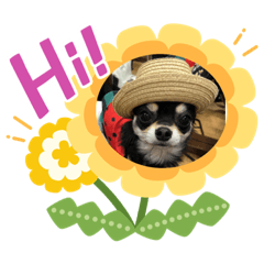 ハピネススタンプ❤️