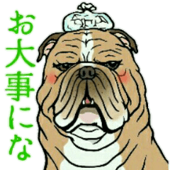 先輩ワンコ後輩ワンコ