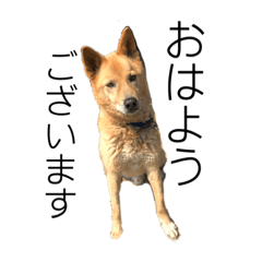 陸さんの日常。