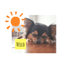 うちのきんひめぷうSTAMP