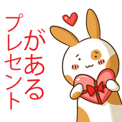 丸い顔兔シクワ