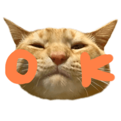 おれ、ぽちゃ。第二弾