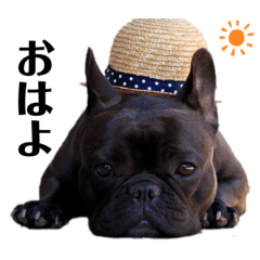 フレブルMooちゃん2