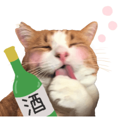 ざ・にゃんこスタンプ