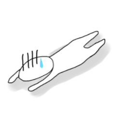 風邪/体調不良...ホワイトマンは調子が悪い