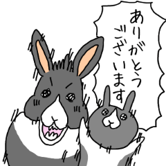 うさぎのよさ〜ハチワレ式〜