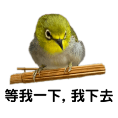 Purple_20210323235044