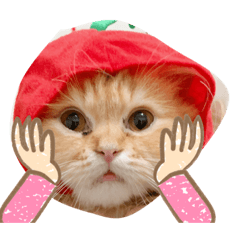 Sarah_20210402075156