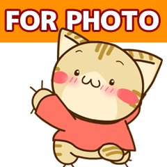 写真に貼れる！すずにゃん