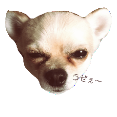 レンの心の叫び〜♡