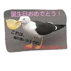 鳥さんたちの日常スタンプ