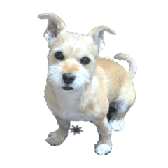 yuuki_20210607161758