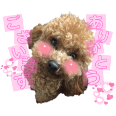 ふくくんだわんっ！