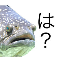 特に需要ないスタンプ