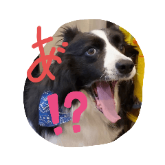 身内で使えるスタンプ　むぅさんとリク②